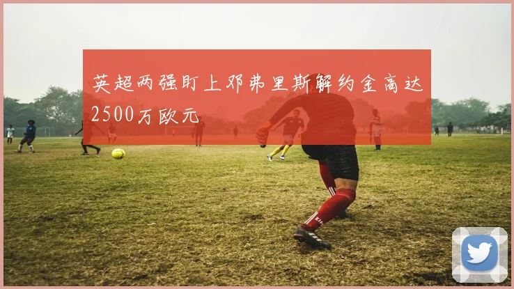 英超两强盯上邓弗里斯解约金高达2500万欧元