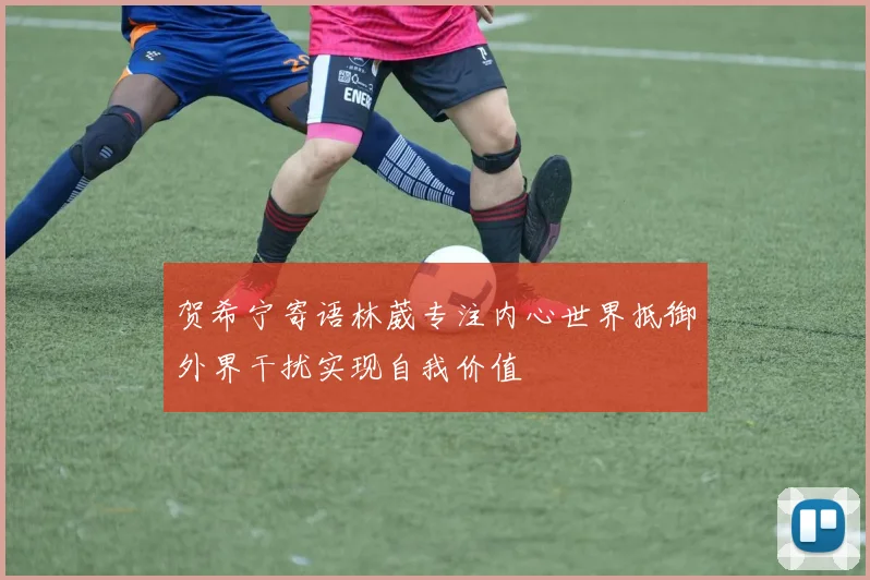 贺希宁寄语林葳专注内心世界抵御外界干扰实现自我价值