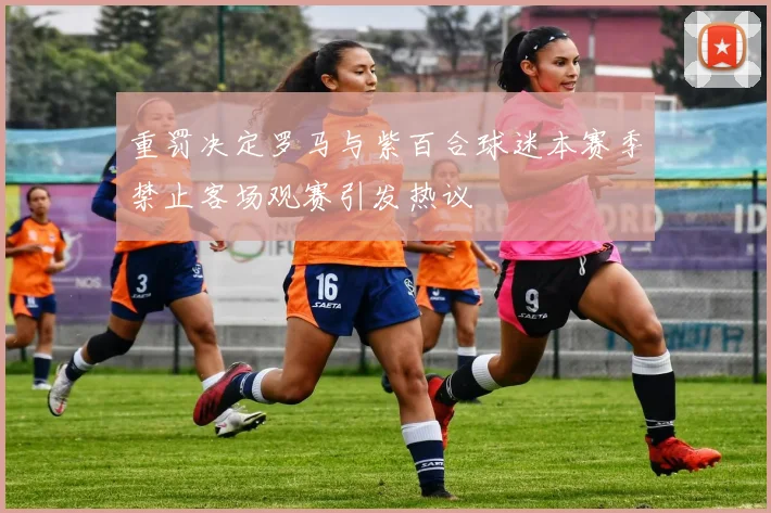 重罚决定罗马与紫百合球迷本赛季禁止客场观赛引发热议