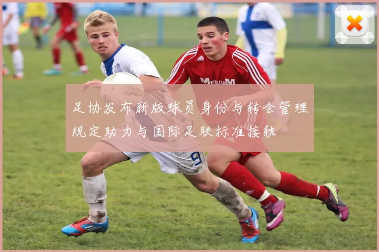 足协发布新版球员身份与转会管理规定助力与国际足联标准接轨